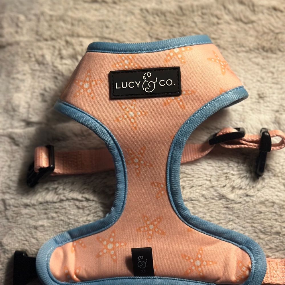 Fish Pattern Lucy & Co. Dog Harness - Peach and Blue - Picture 3 of 3